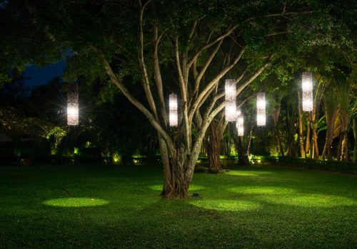 tree-with-lamp-lighting